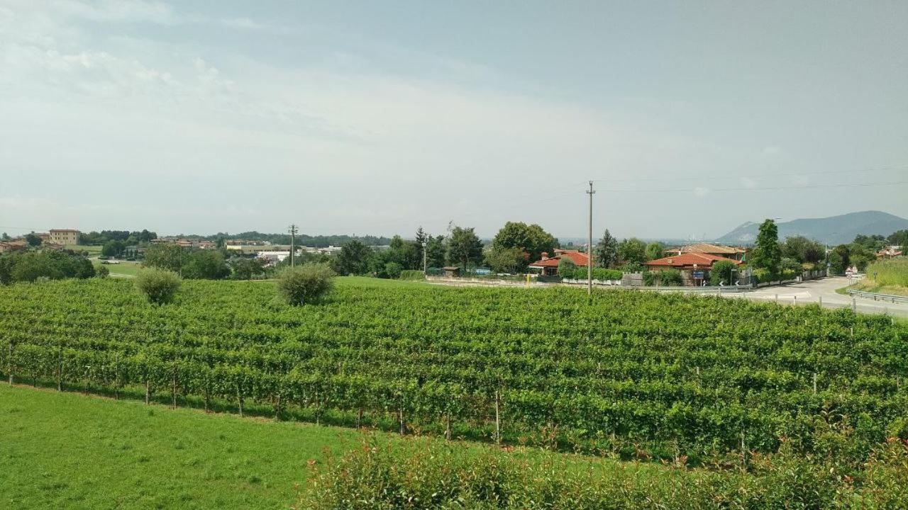 Camere In Collina Muscoline ภายนอก รูปภาพ